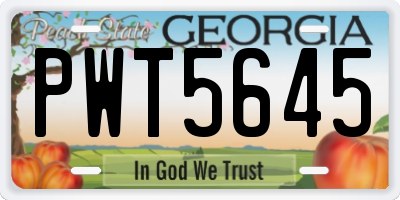 GA license plate PWT5645