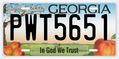 GA license plate PWT5651