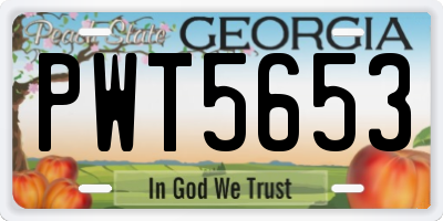 GA license plate PWT5653