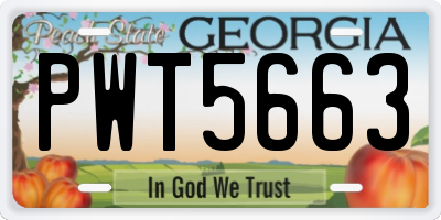 GA license plate PWT5663