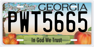 GA license plate PWT5665