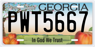 GA license plate PWT5667