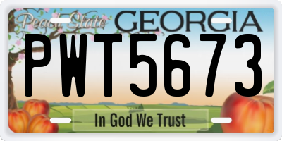 GA license plate PWT5673