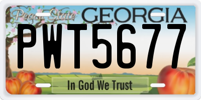 GA license plate PWT5677