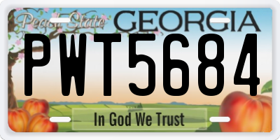 GA license plate PWT5684