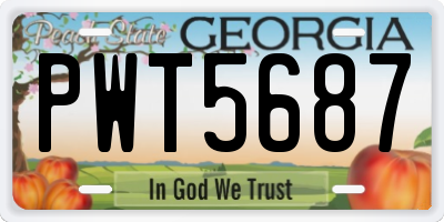GA license plate PWT5687