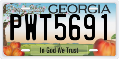 GA license plate PWT5691