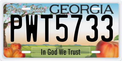 GA license plate PWT5733