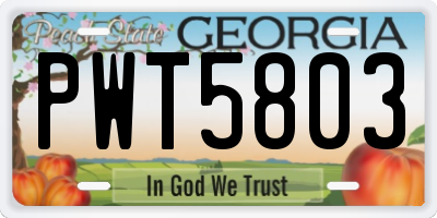GA license plate PWT5803