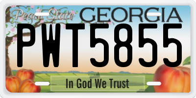 GA license plate PWT5855