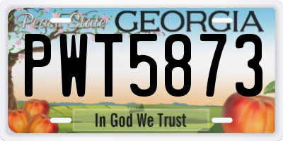 GA license plate PWT5873