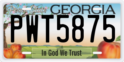 GA license plate PWT5875