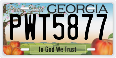 GA license plate PWT5877