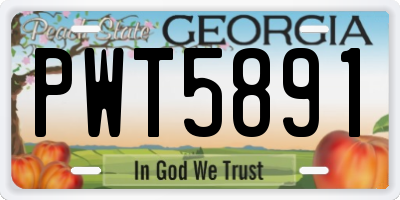 GA license plate PWT5891