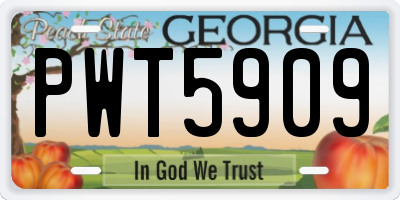 GA license plate PWT5909