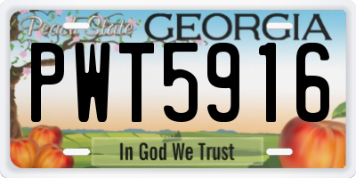 GA license plate PWT5916