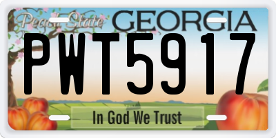GA license plate PWT5917