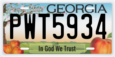 GA license plate PWT5934