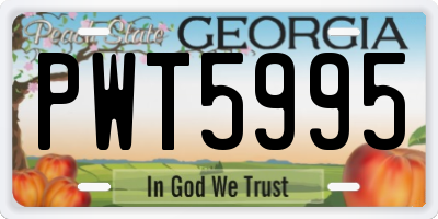 GA license plate PWT5995