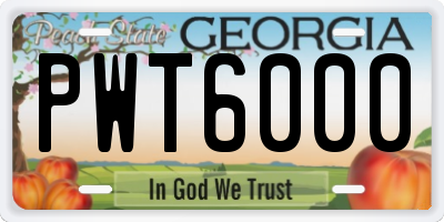 GA license plate PWT6000
