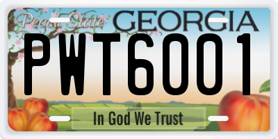 GA license plate PWT6001