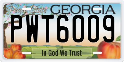GA license plate PWT6009