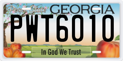 GA license plate PWT6010