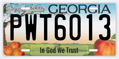 GA license plate PWT6013