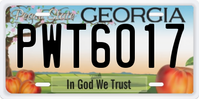 GA license plate PWT6017