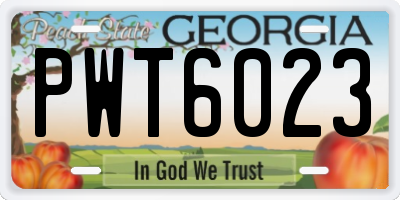 GA license plate PWT6023