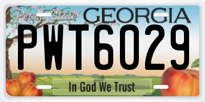 GA license plate PWT6029
