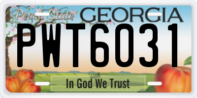 GA license plate PWT6031