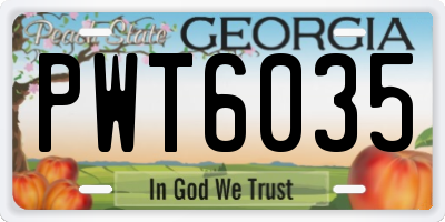 GA license plate PWT6035
