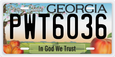 GA license plate PWT6036