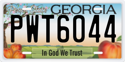 GA license plate PWT6044