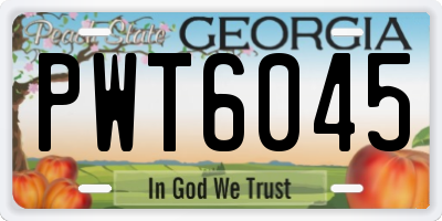 GA license plate PWT6045