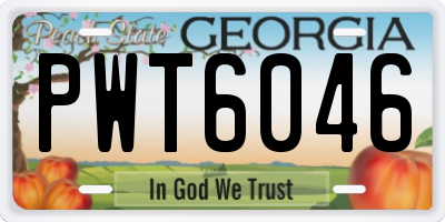 GA license plate PWT6046