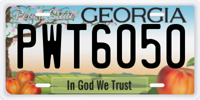 GA license plate PWT6050
