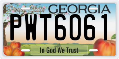 GA license plate PWT6061
