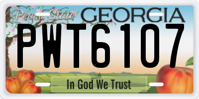 GA license plate PWT6107
