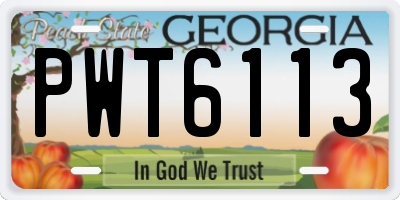 GA license plate PWT6113