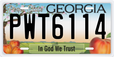 GA license plate PWT6114