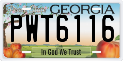 GA license plate PWT6116