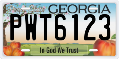 GA license plate PWT6123