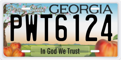 GA license plate PWT6124