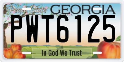 GA license plate PWT6125