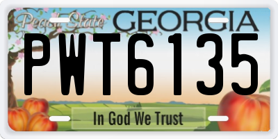 GA license plate PWT6135