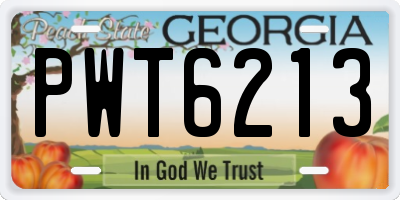 GA license plate PWT6213