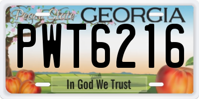 GA license plate PWT6216