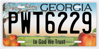 GA license plate PWT6229